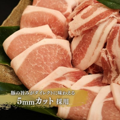 【毎月定期便】【ふるさと納税限定】くんじゃん豚 食べ比べ定期便 総9.6kg全6回【配送不可地域：離島】【4082713】