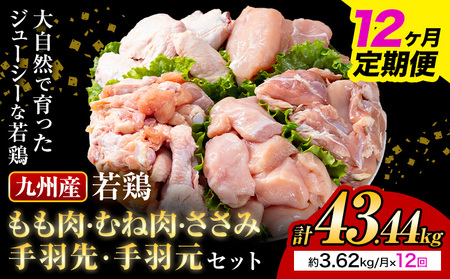 【12ヶ月定期便】 九州産若鶏もも肉 むね肉 ささみ 手羽先 手羽元 セット 計3.62kg 鶏肉 お肉 モモ肉 ムネ肉 5種類 詰め合わせ 小分け 冷凍 九州産 国産 熊本県 菊池市 送料無料《お申