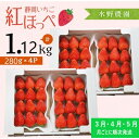 【ふるさと納税】いちご イチゴ 苺 ★3月・4月・5月発送★ 掛川産完熟いちご「 ミズノ農園 の 紅ほっぺ 」280g×4パック （計1120g） （ 人気 くだもの フルーツ ストロベリー 掛川市 静岡 ）