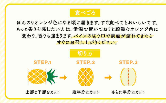 2026年 先行予約 小玉 ピーチパイン 約5kg 9～12玉 ★西表島ふる～つらんど★美味しさギュッと！ 果物 フルーツ パイン