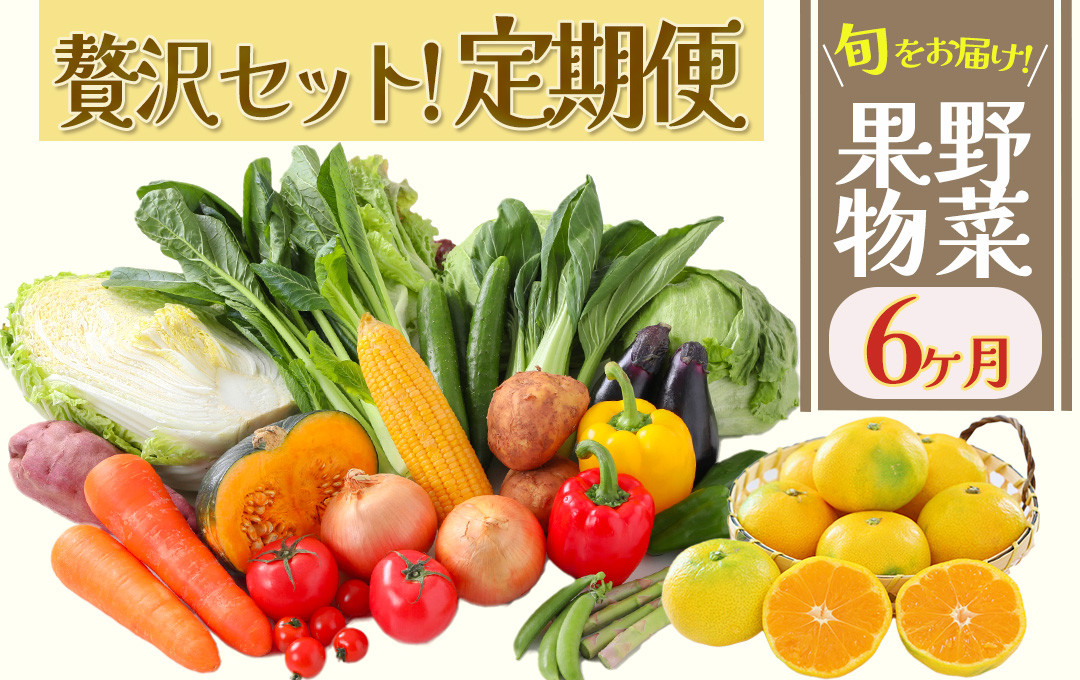 
湯の花　旬の野菜と果物セット半年間の定期便　柑橘 果物 野菜 静岡県産 南伊豆町 定期便 おまかせ 旬 みかん やさい
