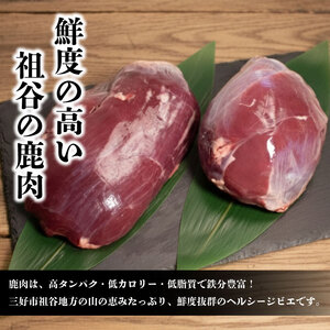 鹿肉モモブロック 1kg ウチ ジビエ 国産 祖谷 地美栄【 ジビエ 】