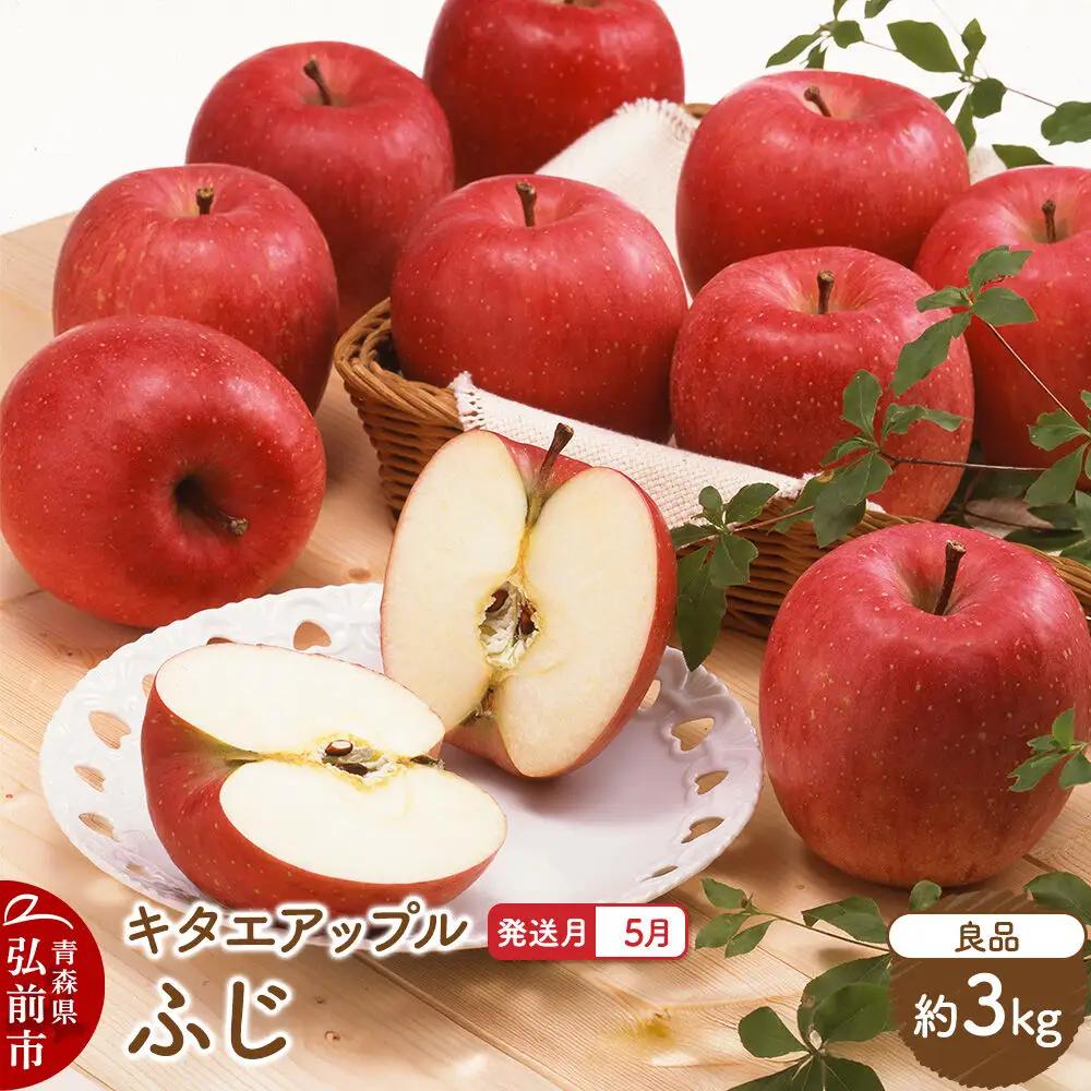 【27年5月クール便発送】りんご ふじ【良品】約3kg【CA貯蔵】キタエアップル 先行受付 クール便 青森県 弘前市 果物 フルーツ 林檎 リンゴ くだもの ギフト 贈り物 青森県 弘前市