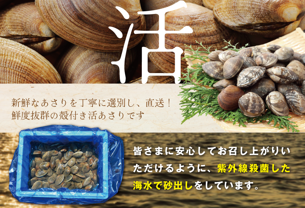 御礼！ランキング第1位獲得！北海道 野付産 大粒 天然 活あさり 2kg【UY0000003】