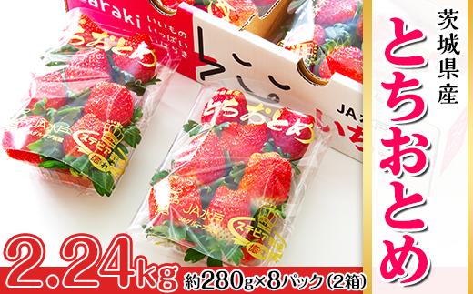 200茨城県産いちご「とちおとめ」2.2kg（2箱8パック）【2025年1月中旬頃～3月下旬頃発送予定】