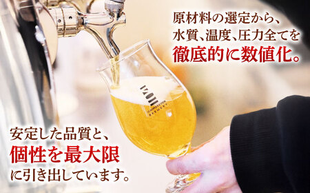 【12回定期便】 クラフトビール 104 BREWERY 6種 飲み比べセット 330ml 全72本 【104 BREWERY】　土岐市 地ビール beer お酒[MGO004]