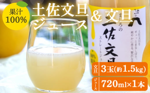 文旦ジュース 1本 土佐文旦 3玉 ストレート 果汁100％ 720ml 文旦 約1.5kg（3玉） 糖度13度以上 山のてっぺん間城農園 - ぶんたん フルーツ 果物 くだもの 柑橘 国産 果実 ドリンク 飲み物 高知県 香南市 ms-0070