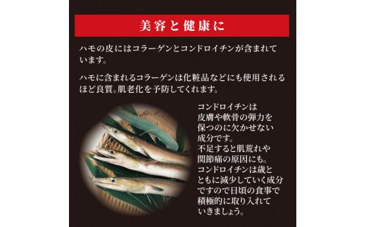 鱧 ハモ 鍋 セット 2~3人前 冷凍 国産 本場 徳島県産 グルメ 魚介 海鮮 食品 ※離島への配送不可