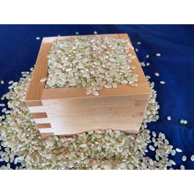 ふるさと納税 池田町 玄米 風さやか3.3kg　田には生き物の多様性があり安全で美味しいお米　栽培期間中農薬・肥料不使用　