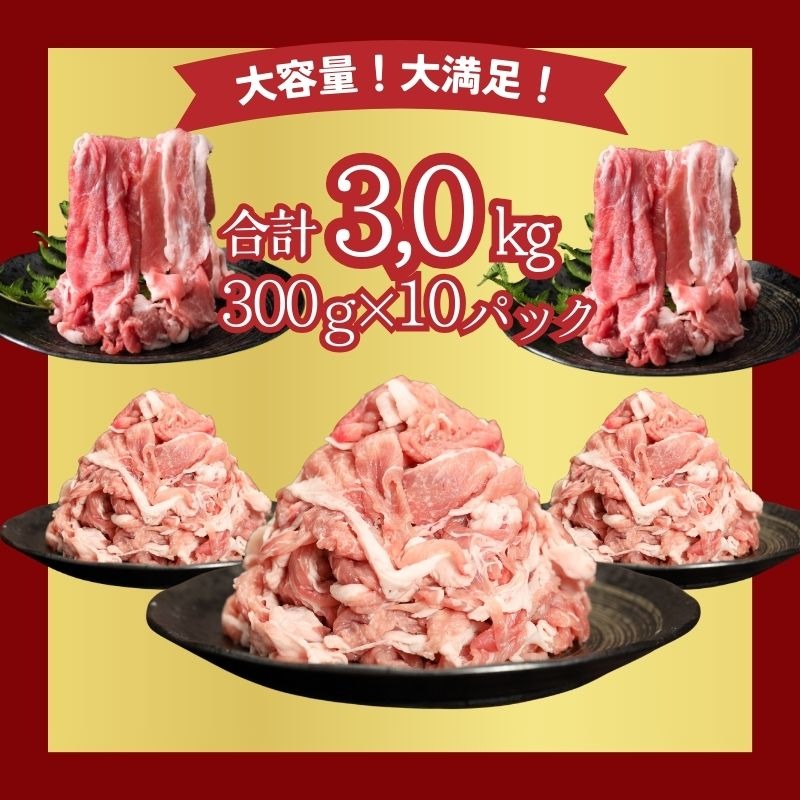 【9/1申し込みより冷凍発送！】訳あり！富士湧水ポークの切り落とし3.0kg　DM001_01