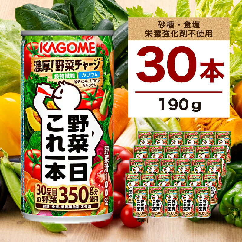 【ふるさと納税】 カゴメ 野菜一日これ一本 190g 30本 栃木県 那須塩原市 野菜ジュース 野菜汁100% 砂糖不使用 食塩不使用 栄養強化剤不使用 香料不使用 30品目 野菜 ジュース リコピン β-カロテン 食物繊維 ビタミンA ドリンク 飲料 KAGOME 送料無料