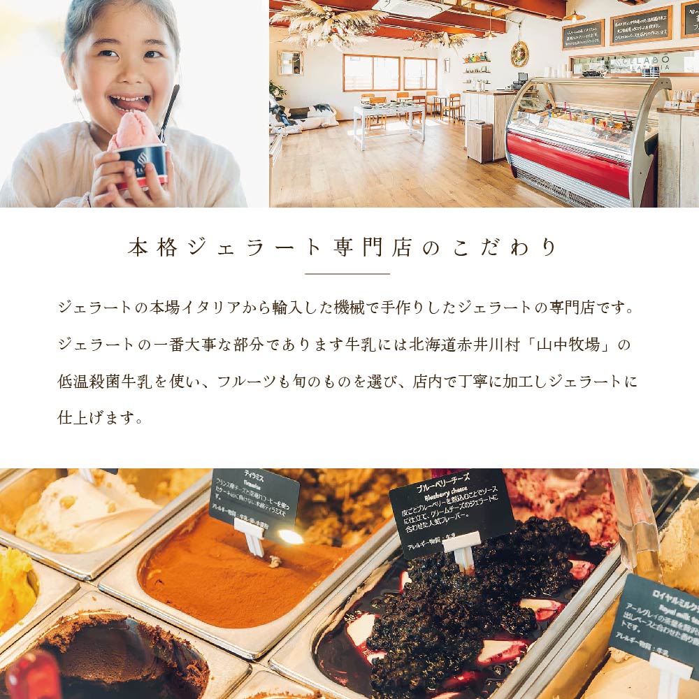 贅沢素材・10種のジェラート【EK0000014】