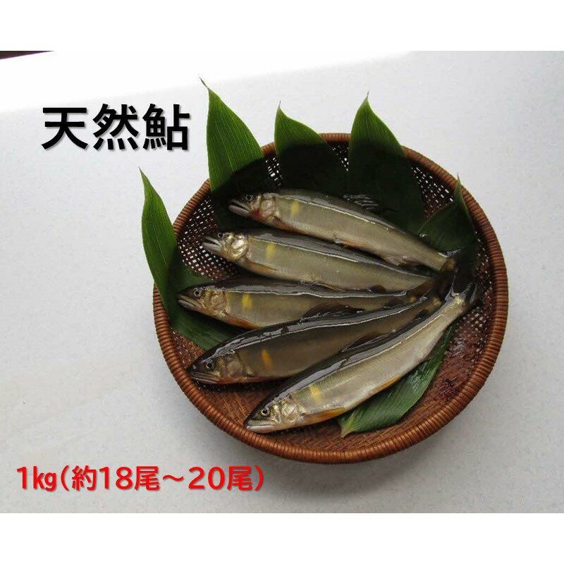 【ふるさと納税】【先行予約】八戸川　天然鮎（1kg)＜2025年6月10日よりお届け＞ 魚介 魚貝類 鮎 天然鮎 あゆ 天然 冷凍 先行予約 【192_2000】