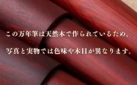 H2-04 銘木・「世界樹」万年筆（白檀）中字