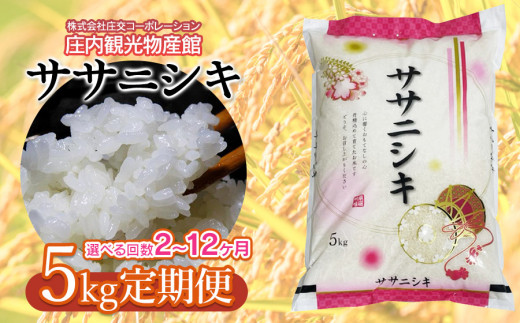 【回数選べる定期便】ササニシキ 精米 5kg×9ヶ月　 庄内観光物産館