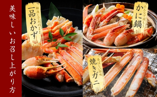 3391. 訳あり ズワイガニ 蟹足 ボイル 計1kg 2-3人前 数量限定 足折れ 欠け 甲羅傷 カニ 塩茹で 蟹 茹で かに ズワイ ズワイ蟹 ずわい ずわい蟹 ずわいがに 海鮮 冷凍 訳アリ 送