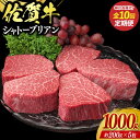 【ふるさと納税】【全10回定期便】佐賀牛シャトーブリアン 計1kg（約200g×5枚） / ブランド牛 国産牛 佐賀牛 / 佐賀県 / 佐嘉ZEYTAKUYA（株式会社丸宗ミート）[41AQAA069]