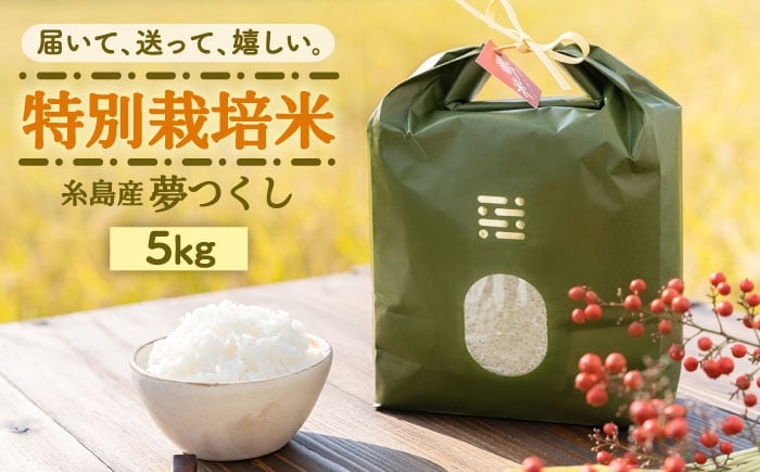 
                  とくべつの中のとくべつ 特別栽培米 5kg 夢つくし 吉富町/(株)やました [BGBX005]
                
