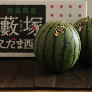 甘さがギュッ!とつまったシャリシャリ食感の藪塚こだまスイカ4玉(令和8年5月～6月発送)_果物・フルーツ すいか  スイカ 西瓜_【配送不可地域：離島】【1213152】