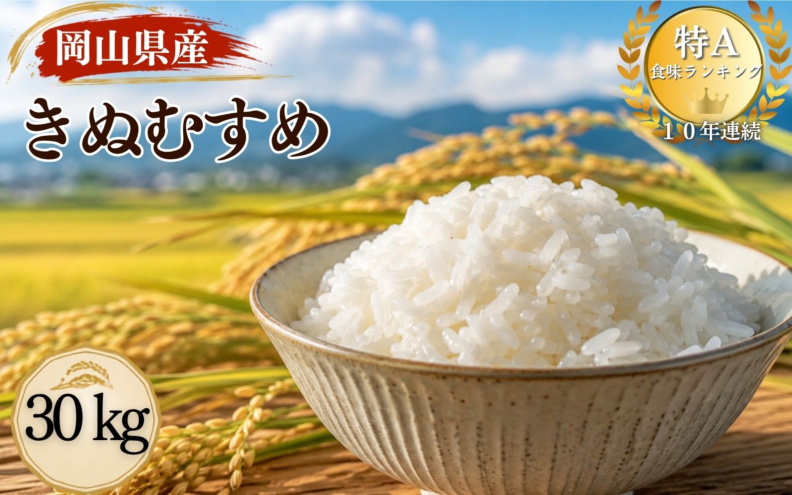 【ふるさと納税】【令和8年産 先行予約】特A連続受賞 きぬむすめ 精米（30kg × 1袋） 米 ごはん お米 岡山県 国産米 先行予約
