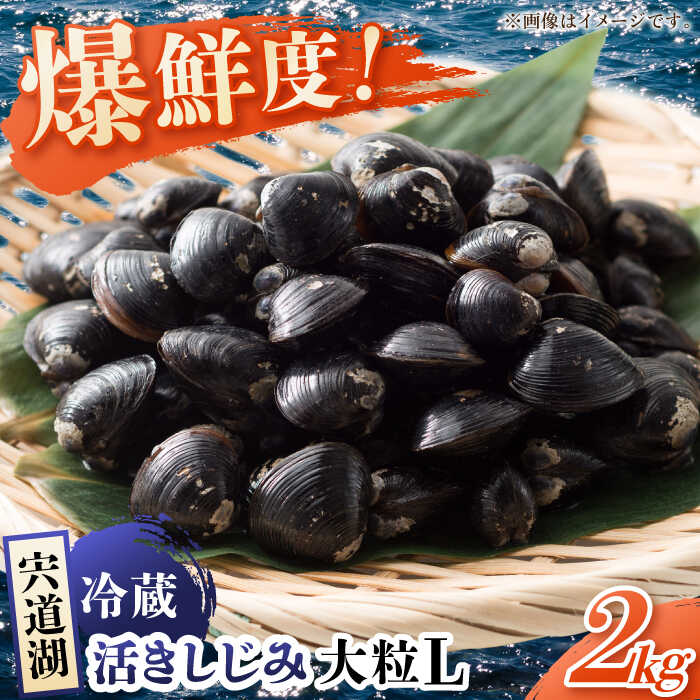 【ふるさと納税】鮮度抜群！宍道湖産しじみLサイズ2kg(生鮮・砂抜済・活しじみ) 松江自慢のしじみです！ 島根県松江市/有限会社藤本米穀店[ALCG008]