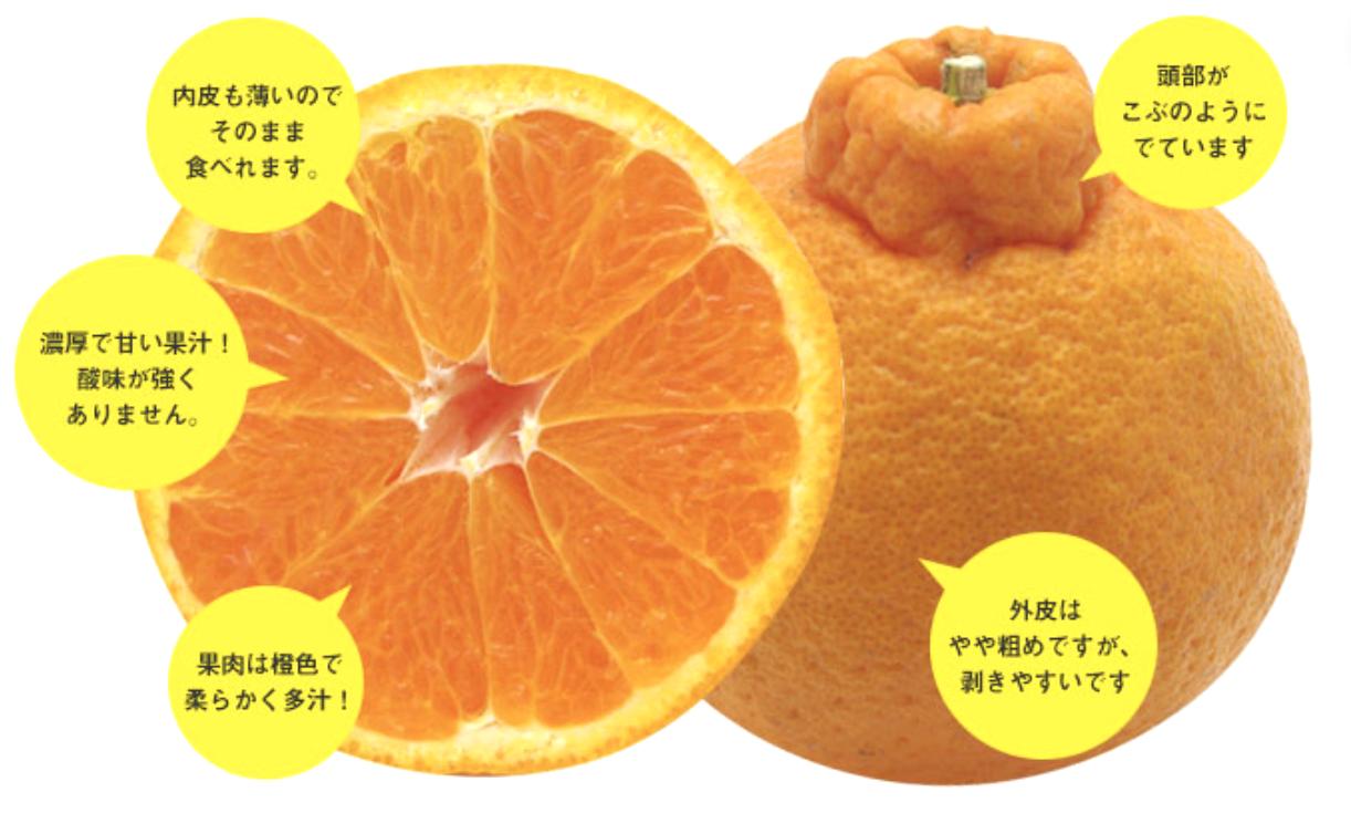 画像はイメージです。