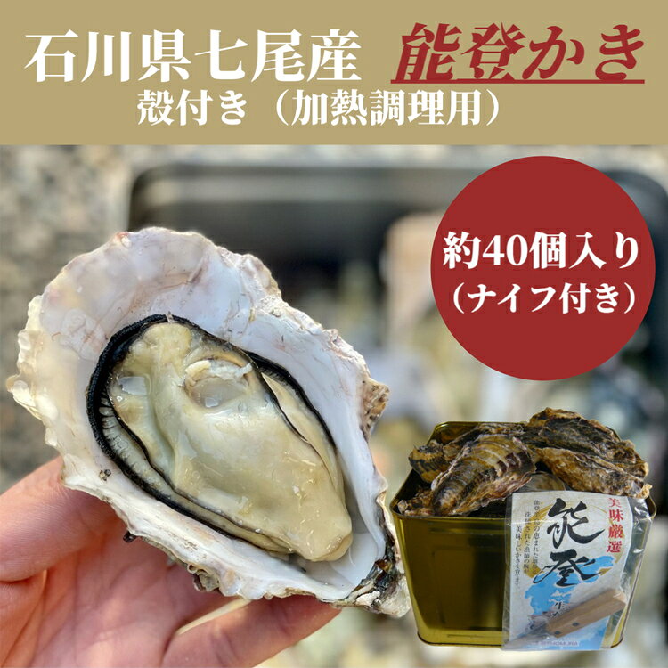 【ふるさと納税】石川県七尾産 能登かき 殻付き 半缶（約40個）| 牡蠣 加熱用 冷蔵 魚介 カンカン焼き 浜焼き BBQ バーベキュー 訳あり 生活応援価格 ご家庭用 石川県 七尾市 能登
