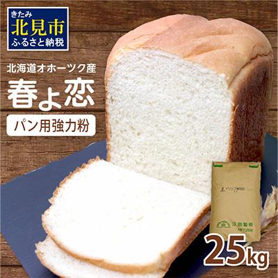 ふるさと納税 北見市 【北海道オホーツク産】パン用小麦粉(強力粉)　春よ恋　25kg