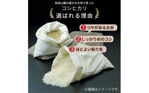 令和6年産茨城県産コシヒカリ　精米　合計10kg (5kg×2袋) ※離島への配送不可　※2024年9月中旬頃に順次発送予定