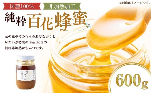 上村養蜂場 国産100％純粋百花蜂蜜 大瓶 600g