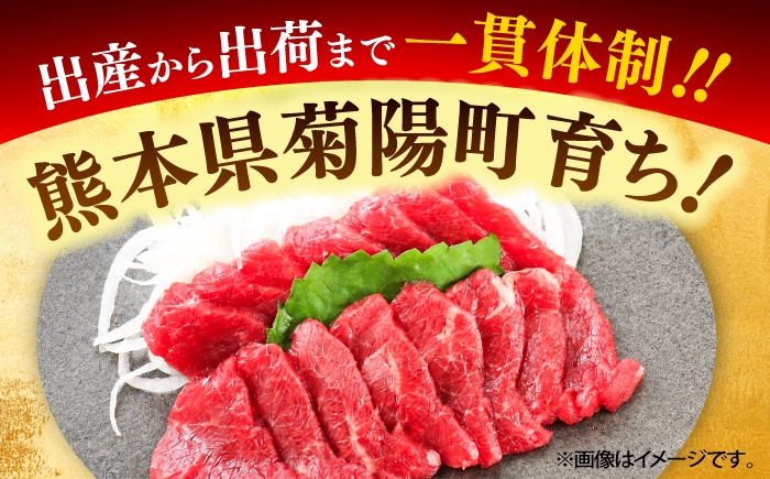  熊本 ばさし バサシ 馬刺し 1万円以下 10000円以下 5000円以上 5千円以上 5,000円以上