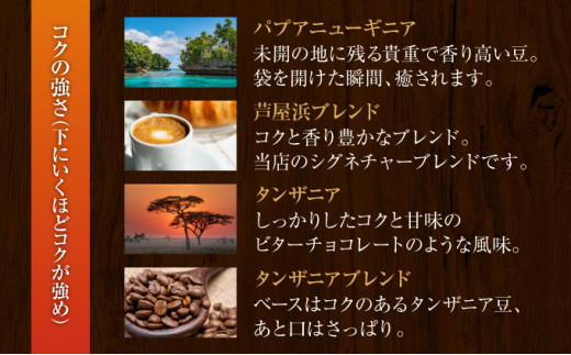 【COFFEE PORT芦屋浜コーヒー1kg】ブラジルブラウニーブラウニー【豆】