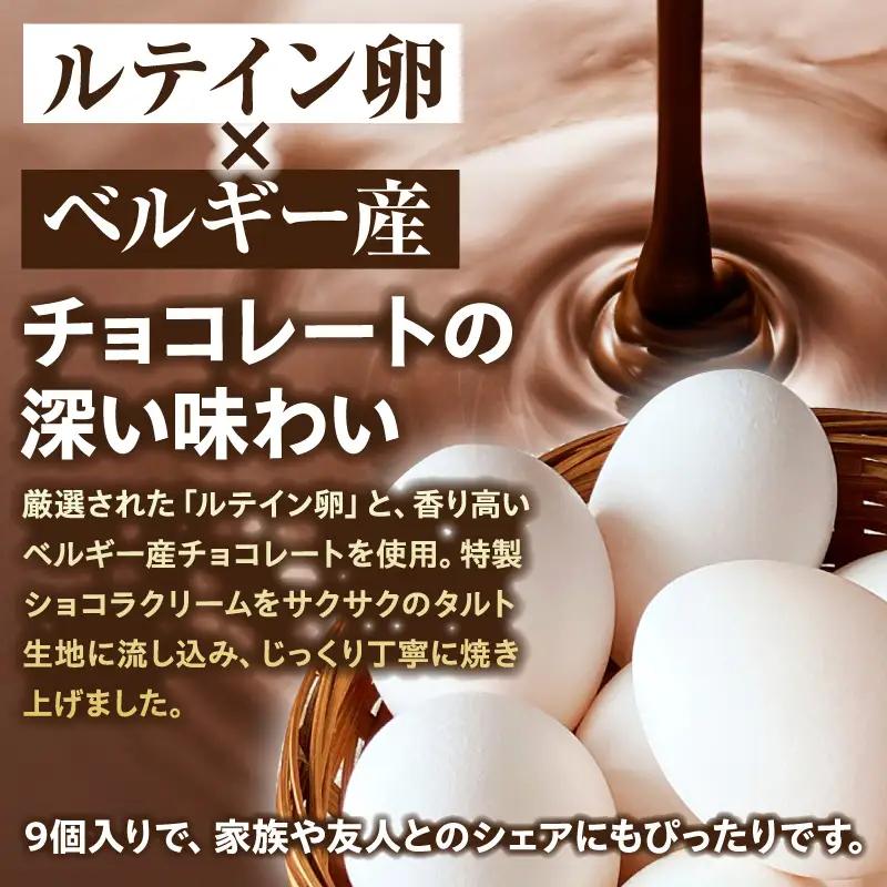 【お中元 内熨斗対応可能】ショコラエッグタルト 9個入