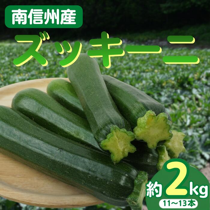 【ふるさと納税】ズッキーニ　約2kg（11～13本入り）2026年6月～発送開始　 野菜｜収穫｜新鮮｜料理｜南信州｜長野県｜信州｜ふるさと納税