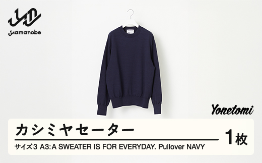 ≪先行予約≫ A3: A SWEATER IS FOR EVERYDAY. Pullover NAVY ネイビー カシミヤセーター 服 洋服 ユニセックス メンズ レディース ブランド 数量限定 山形県 山辺町 サイズ3 yt-sepon3