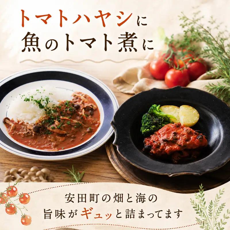 安田町 トマトソース 2袋 トマト ソース セット TR-24