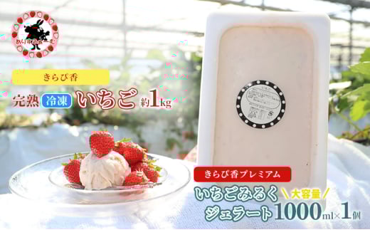[№5695-1663]いちご 冷凍 ジェラート セット 静岡 ありすふぁーむ 大容量！ジェラート職人監修 いちごみるくジェラート【冷凍いちご１キロ付き！】苺 イチゴ 【島田市】