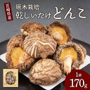 【ふるさと納税】しいたけ 原木栽培 乾しいたけ どんこ 170g 直径約4~6cm 贈答用 化粧箱入り ギフト 贈り物 出汁 だし ダシ 包装配送 のし対応可 椎茸 乾燥 干し シイタケ きのこ 国産 九州産 宮崎県 送料無料