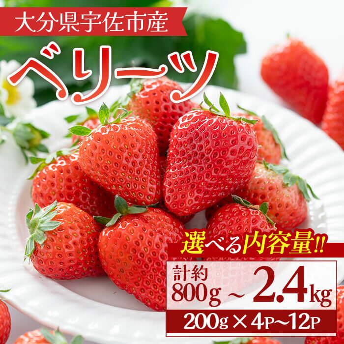 【ふるさと納税】＜選べる！内容量＞＜2026年1月上旬〜4月下旬の間に発送予定＞いちご(計約800g～2.4kg・200g×4P~12P)苺 イチゴ フルーツ 果物 くだもの 果実 ベリーツ【117900100・117900200・117900300】【Farm U.S.A.】