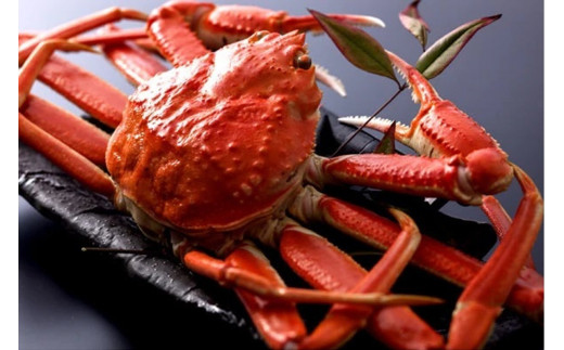 【厳選】茹で松葉蟹 L(600g前後)×2杯　★11月15日頃～12月お届け　OD00154
