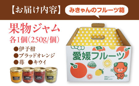 色とりどりの果物ジャム4個 みきゃん箱入り(1箱)　愛媛県大洲市/沢井青果有限会社　ジャム マーマレード フルーツ 果物 手作り[AGBN050]