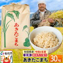 【ふるさと納税】先行予約※10月中旬頃～発送【玄米】令和6年産 新米 先行受付 秋田県産 あきたこまち 30kg 30キロ お米 仙北市