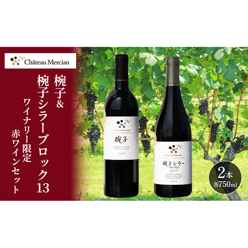 限定 赤ワイン 飲み比べセット 750ml 2本 セット 椀子 椀子シラー ギフト シャトーメルシャン椀子ワイナリー シャトーメルシャン ワイン お酒 酒 アルコール 家飲み 宅飲み お祝い 記念日 飲み比べ 贈り物 プレゼント 信州 長野 長野県 上田市