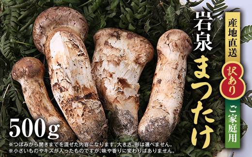 
            ＜訳あり＞ご家庭用 岩泉まつたけ 直送 500g【1423397】
          