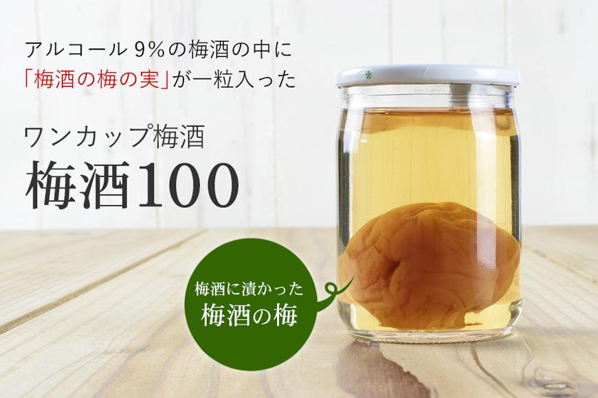 ワンカップ 梅酒100ml（梅酒90ml、梅実10ml） ×24本