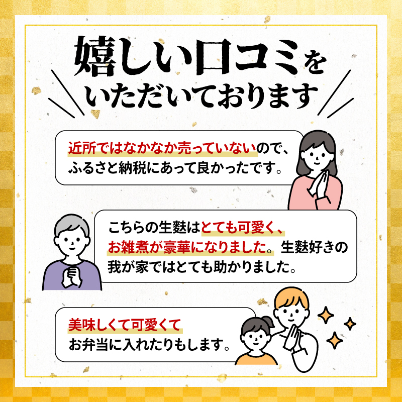 生麩 4種 セット 【 お祝い 冷凍 正月 年末 特別 縁起物 華やか 料理 ひょうたん さくら うめ 紅葉 もみじ おもてなし おせち 母の日 ギフト プレゼント 年末 年始 お歳暮 お中元 お盆 
