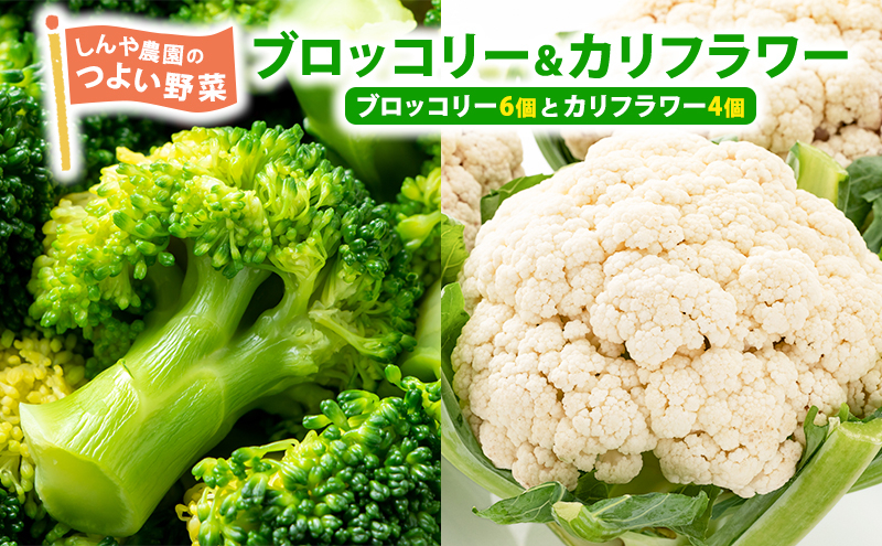 
            しんや農園の 野菜「ブロッコリー6個 & カリフラワー4個」
          