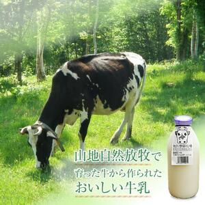 【12ヶ月定期便】斉藤牧場の山地自然放牧牛乳（900ml×2本×12回） ｜ 牛乳 _00578