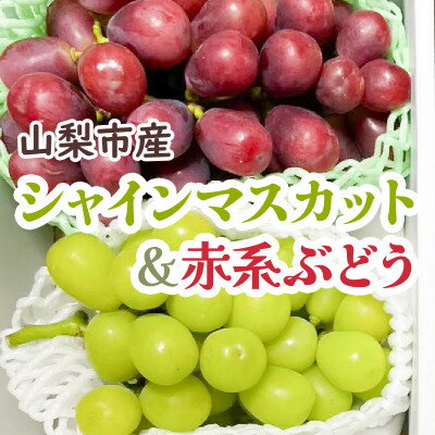 【ふるさと納税】シャインマスカット&赤系ぶどう 各1房(2房合計1kg程度)_ シャインマスカット ぶどう 葡萄 ブドウ フルーツ ふるーつ 果物 くだもの セット 食べ比べ 国産 山梨 甘い 贈答 ギフト プレゼント 【配送不可地域：離島】【1521015】