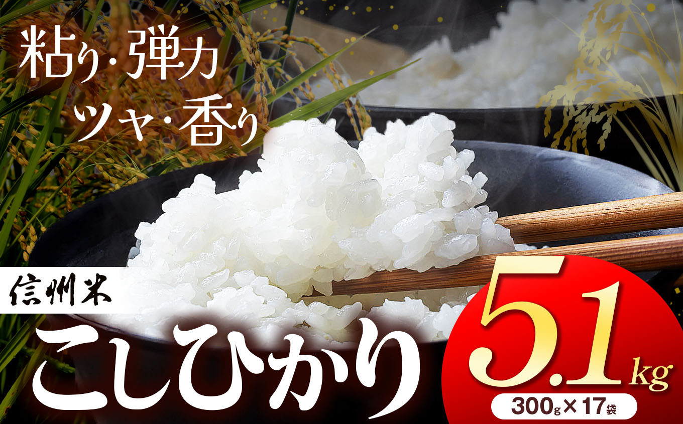 
            信州松本産 こしひかり 白米 5.1kg （2合300g×17袋 )    │信州 松本市 米 お米 コシヒカリ こしひかり アルプス 国産米 長野県産 おすすめ 白米 ふっくら 田畑 農家 ふるさと納税 松本市 美味しい
          